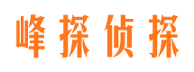 城西市婚姻调查